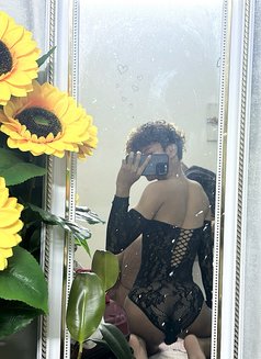 Exotic alio last week in Jeddah - Male escort in Jeddah Photo 11 of 11