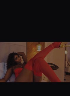 Exotic_CHANELL - escort in Dubai Photo 10 of 12
