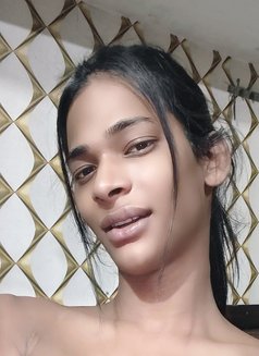 Exotic Danny - Transsexual escort in New Delhi Photo 1 of 2