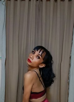TS_NICOLE LINSHI GOOD DEEP & RAW - Acompañantes transexual in Bali Photo 9 of 12