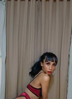 TS_NICOLE LINSHI GOOD DEEP & RAW - Acompañantes transexual in Bali Photo 10 of 12