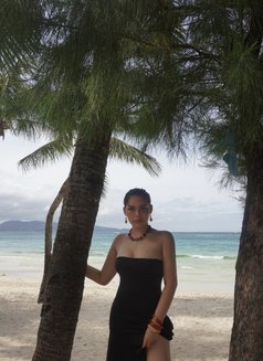 Exotic Stefhania - puta in Tokyo Photo 14 of 19