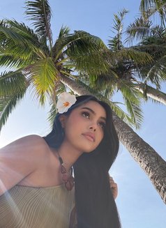 Exotic Stefhania - puta in Tokyo Photo 15 of 19