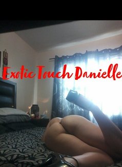 Exotic Touch Danielle - escort in Halifax Photo 4 of 8