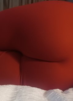 Exotic Touch Danielle - escort in Moncton, New Brunswick Photo 15 of 16
