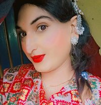 Exotica Alisha - Transsexual escort in Ludhiana