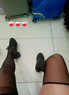 Exotica Alisha - Transsexual escort in Ludhiana Photo 5 of 14