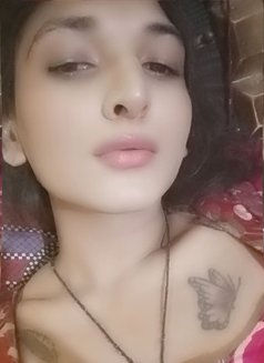 Exotica Alisha - Transsexual escort in Ludhiana Photo 30 of 30