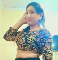 Exotica Alisha - Transsexual escort in Ludhiana