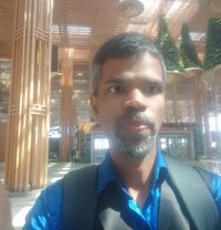 Experience &trained bull in Bangalore - Male adult performer in Bangalore