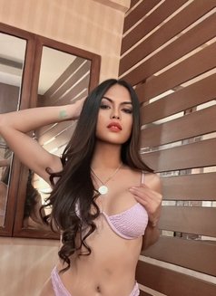 TS khimmy - Transsexual escort in Manila Photo 25 of 26