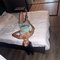 Exquisite Rendezvous - escort agency in Cape Town Photo 4 of 6