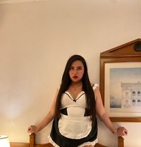 Ts Stephyyy - Acompañantes transexual in Manila