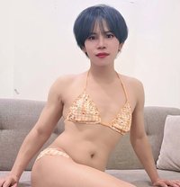 Exy - Transsexual escort in Riyadh