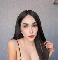 Sofia new bottom tops - Transsexual escort in Khobar