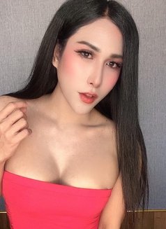 Sofia new กระเทยทั้งสอง - Acompañantes transexual in Al Manama Photo 14 of 14