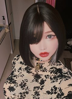 F-cup busty Pussycat Ray☆ - Transsexual escort in Seoul Photo 21 of 22