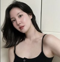 Linda Korean Cabin crew - escort in Singapore
