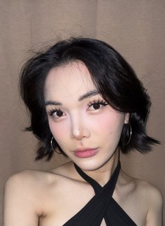 Faceliufx - Acompañantes transexual in Bangkok Photo 21 of 24