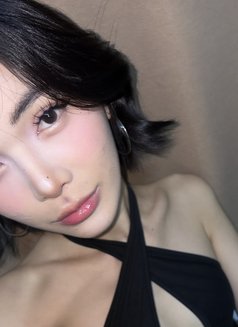 Faceliufx - Acompañantes transexual in Bangkok Photo 22 of 24