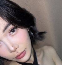 Faceliufx - Acompañantes transexual in Bangkok