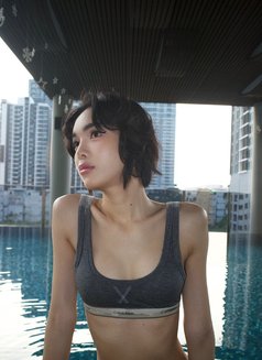 Faceliufx - Transsexual escort in Bangkok Photo 9 of 14