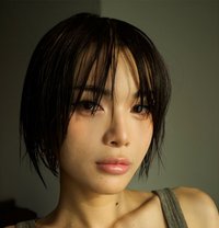 Faceliufx - Acompañantes transexual in Bangkok