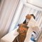 Fadai (Thai Lady) - escort in Riyadh Photo 3 of 8