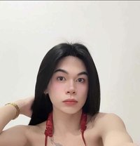 Fadia New Ladyboy🇹🇭 - masseuse in Abu Dhabi