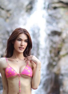 Fadia69, Big, long, pink dick - Acompañantes transexual in Al Manama Photo 21 of 30