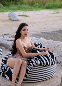 Faey - escort in Surat Thani Photo 21 of 23