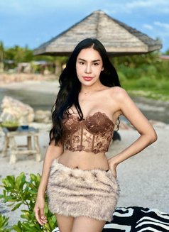 Faey - escort in Surat Thani Photo 22 of 23
