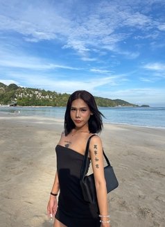 FAH Ts - Transsexual escort in Phuket Photo 1 of 8