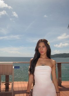 FAH Ts - Transsexual escort in Phuket Photo 6 of 8