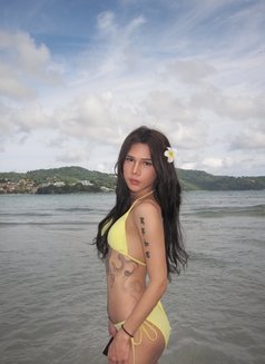 FAH Ts - Transsexual escort in Phuket Photo 7 of 8