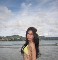 FAH Ts - Transsexual escort in Phuket Photo 1 of 9