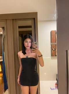 FAH Ts - Transsexual escort in Phuket Photo 8 of 9