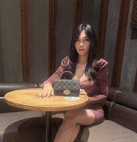 Faheera - Acompañantes transexual in Jakarta