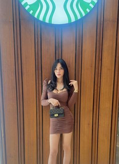 Faheera - Transsexual escort in Jakarta Photo 7 of 14