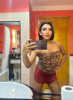 Fahrah 6.5 Inch Good Top both - Acompañantes transexual in Abu Dhabi Photo 12 of 14