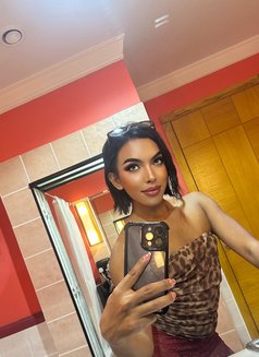 Fahrah 6.5 Inch Good Top both - Acompañantes transexual in Abu Dhabi Photo 14 of 14