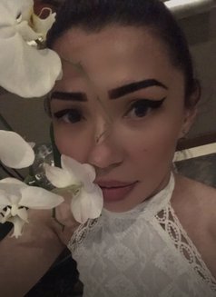 Fairi independent - escort in Dubai Photo 6 of 9
