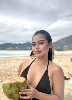 Falia Phuket 🇹🇭 - escort in Phuket Photo 4 of 8