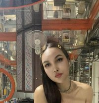 Fallen Angel - escort in Taipei