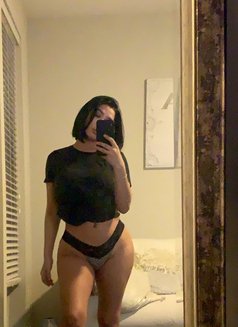 Falone - escort in Amsterdam Photo 3 of 18