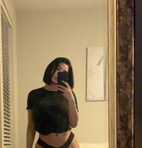 Falone - escort in Amsterdam