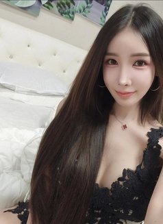 Fang Lee (VIP Only) - puta in Chiang Mai Photo 1 of 7