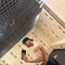 Fantastic Boy - Acompañantes masculino in Kuala Lumpur