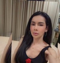 Fantastic ladyboy in Bangkok - Transsexual escort in Bangkok Photo 6 of 6