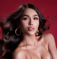 FANTASY ACHIEVER - Transsexual escort in Coron